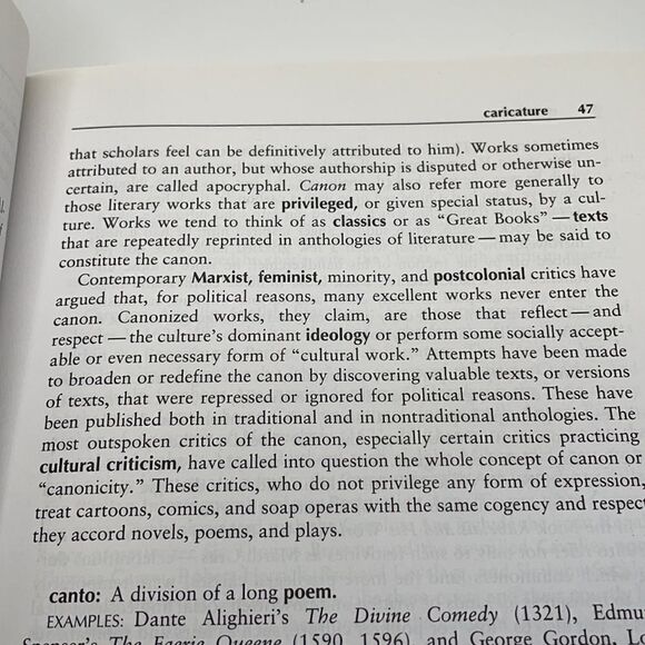 The Bedford Glossary of Critical and Literary Terms - Picture 14 of 15